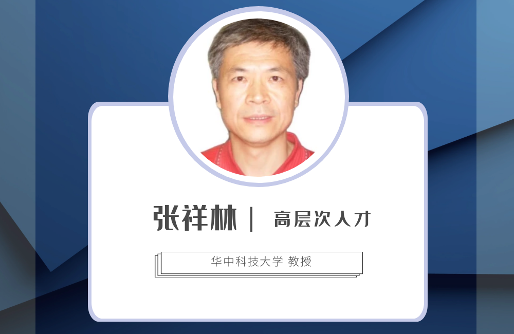 張祥林 華中科技大學教授
